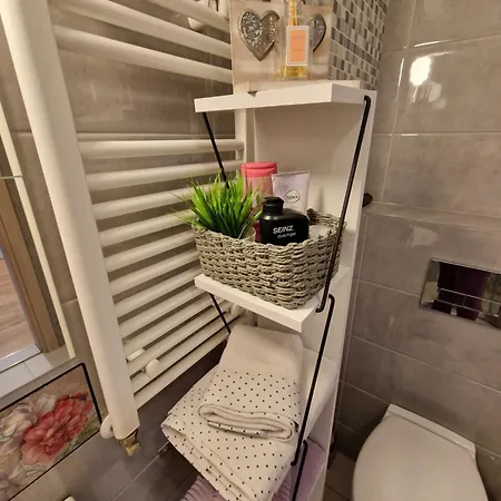 Srna Lux Aerodrom With Rent A Car